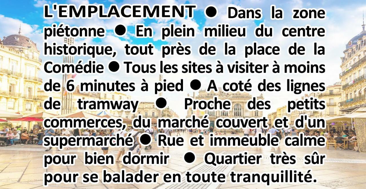 Comedie Musee-Fabre Parking Offert Climatisation Apartman Montpellier Kültér fotó