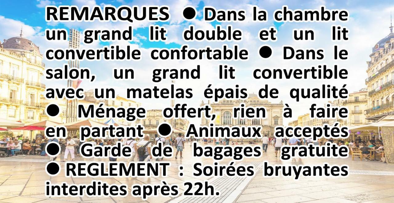 Comedie Musee-Fabre Parking Offert Climatisation Apartman Montpellier Kültér fotó
